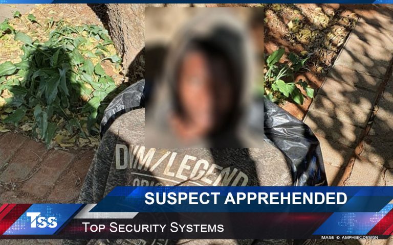 Suspect Apprehended, Lionel Street, New Park, Kimberley