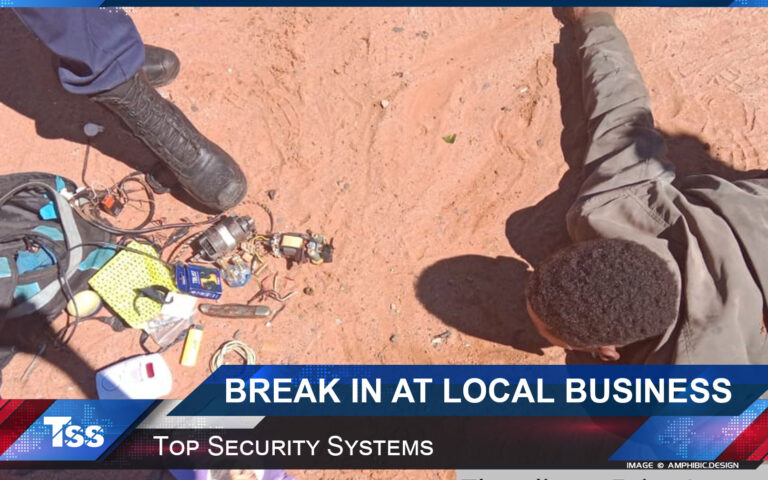 Break-In at Local Business in New Park